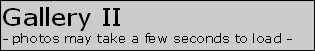 wpebf7d6e8_0f.jpg